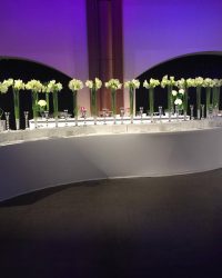 Buffets & Bars